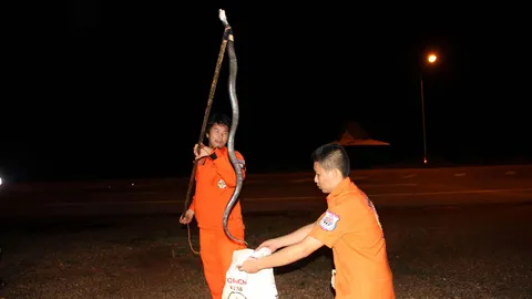 เห่าดง ตัวดำมะเมื่อม! เลื้อยซุกชั้นวางรองเท้า ด.ญ.เห็นร้องลั่น