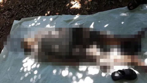 พ่อเฒ่าเมืองเลยผูกคอตาย โรครุมเร้า ไม่อยากเป็นภาระลูกหลาน 