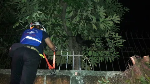 ลูกแมวโดนเหล็กกำแพงเสียบขา ทีมกู้ภัยปทุมฯ เข้าช่วยจนปลอดภัย