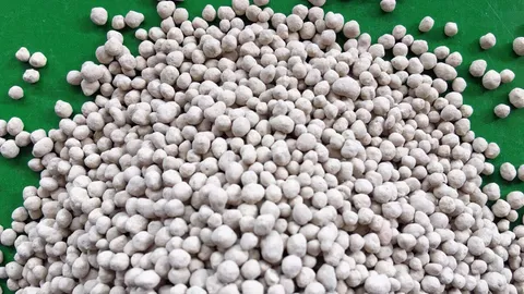 ซื้อปุ๋ย...ให้มีธาตุอาหารรอง