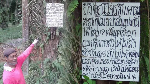 ขึ้นป้ายวอนโจรหยุดลักผลปาล์ม โอดตั้งแต่ซื้อสวนมา ยังขายได้ไม่ถึง 5 พัน