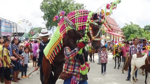 ม้ากว่า 80 ตัว แต่งกายสวยงาม ร่วมขบวนเต้นแห่เทียน รำลึกเกจิวัดเกาะ