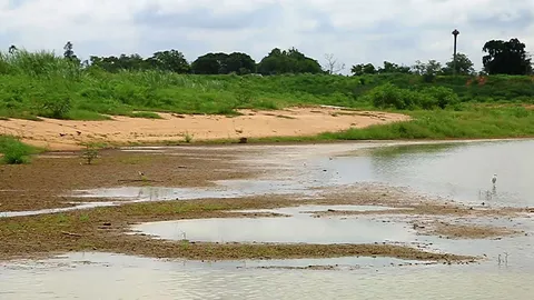 เร่งรื้อถอนเครื่องมือจับสัตว์น้ำในบึงบอระเพ็ด พบลอบดักฤดูปลาวางไข่