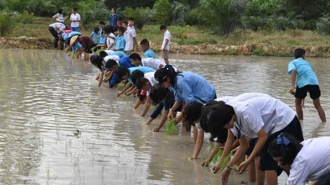 นักเรียนร.ร.เนินทรายฯ จ.ตราด ทำกิจกรรมดำนา มาใช้ในชีวิตประจำวัน