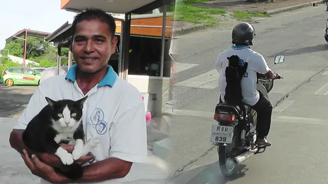  เขาคือใคร! เปิดตัวครั้งแรก เน็ตไอดอลเมืองคอน แมวน้อยเกาะหลังขี่รถ 