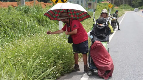 'ลูฟี่' การ์ตูนวันพีซ! จุดประกายแม่-ลูกฝรั่งเศส เดินจากภูเก็ตสู่เบตง