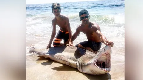 ทึ่ง! เด็กมะกันวัย 13 ใช้คันเบ็ด ตกฉลามหนัก 200 ปอนด์จากทะเล (ชมคลิป)