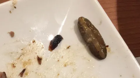 สาวเมืองคอนอ้วกแตก! เคี้ยวเจอ ‘ทากลิ้นหมา’ ในจานผักสลัดร้านดังห้างยักษ์ 