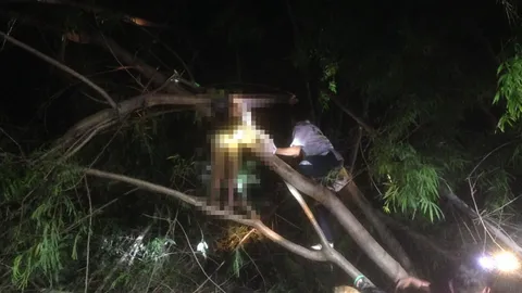แม่เฒ่าเมืองอุบล ปีนไปตัดกระถินถูกกิ่งโค่นทับร่าง ดับคาต้นไม้