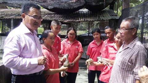 ร.ร.นครไทย สอนเด็กเลี้ยงกบ เชิญวิทยากรให้ความรู้ คาดเด็กสร้างรายได้