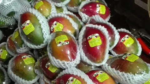 อาปิงเสียบตลับนาค มะม่วงหวานหอมสีสวย