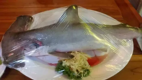 ร้านอาหารบนเกาะลันตา เสิร์ฟเมนู 'ฉลามหัวค้อน' ดร.ธรณ์ ขอเป็นสัตว์คุ้มครอง