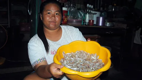 ไม่บอกไม่รู้ ปลาซิว โลละ 200 แม่บ้านคนขยันออกยกยอขาย รายได้งาม