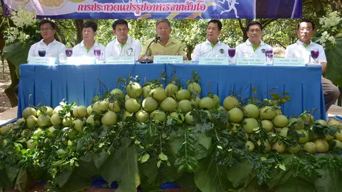 จัดครั้งแรก งานส้มโอหวานโคกปีบ ชิมผลไม้อร่อย-เที่ยวชมโบราณสถาน