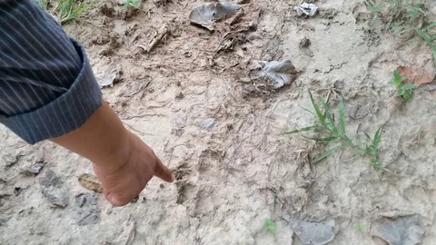 ชาวมุกดาหาร ผงะ หาหน่อไม้เจอเสือ! โร่แจ้ง จนท.ตรวจสอบรอยเท้าในป่า