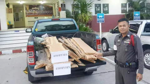 รวบ ผอ.ร.ร.เมืองอุบลฯ ขนไม้สักแปรรูป อ้างแต่งเรือนหอ