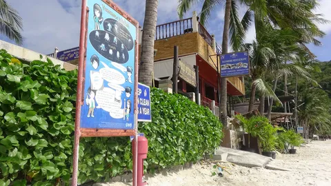 ผู้ประกอบการตั้งไลน์กลุ่ม เตือนแมงกะพรุนไฟ หลัง นทท.บาดเจ็บแล้ว 6 ราย