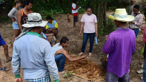 เขยฝันพ่อตาบอกฝังคันไถไว้ ขุดพบวัตถุโบราณเกือบ 300 ชิ้น ในนาบุรีรัมย์