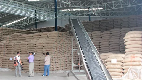 แปลกใจรัฐ! ข้าวดีตีเป็นข้าวเสีย 