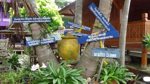 มะพร้าวแปลกแตก 3 ยอด! คนพะเยาฮือฮา เชื่อเป็นของศักดิ์สิทธิ์