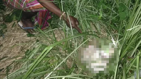 สาวคลอดลูกแฝดในบ้าน เด็กตายก่อนถึง รพ. 1 คน อีกคนเป็นศพอยู่พงหญ้า