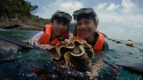 ชี้ นทท.สาว แชะโชว์หอยสงวนเกาะช้าง! ผิดกฎหมายแน่ แต่โทษเบาแค่ปรับ