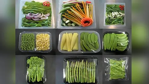 จากเห็บสยามถึงมวยหมู่โมเดล