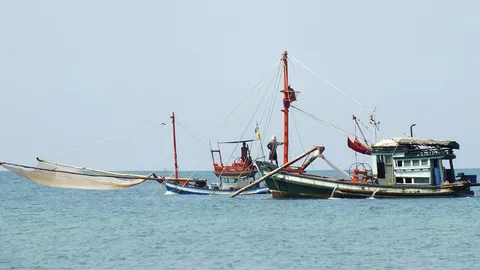 หอมฉุยทะลุจอ กะปิเกาะช้าง! เผยช่วงนี้ ‘เคย’เข้า เรือเล็กควรออกจากฝั่ง 