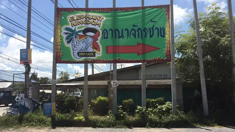 ฝนตกลมแรง! กระทิงป่าหลุดจากคอกอาณาจักรช้างพัทยา ยืนเล็มหญ้าหน้าตาเฉย