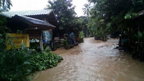 ฝนถล่มลำปาง น้ำป่าดอยหมอก ไหลเชี่ยวทะลักท่วม 2 หมู่บ้าน อ.วังเหนือ