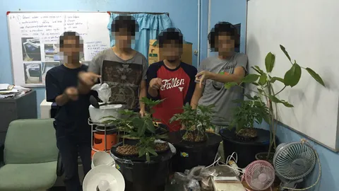 เอิร์ท AF 9 โดนรวบ พร้อมพวกคาคอนโดฯ  ลักลอบปลูกต้นกัญชา 