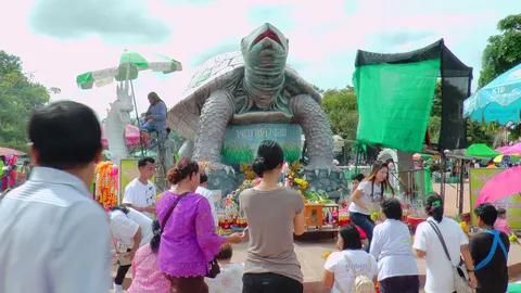 ชาวบ้านแห่ขอเลขเด็ด พญาเต่างอย บนบานถูกรางวัลที่ 1 ถวายผักบุ้งทองคำ   