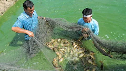 ประมงขานรับอะกริ-แมป ปี2560 นำร่อง 10 จังหวัด