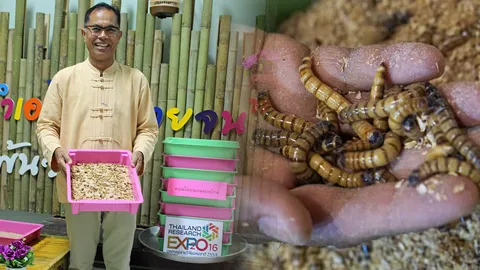 คอนโดหนอนนกยักษ์ 74 วัน กำไร 6,000%