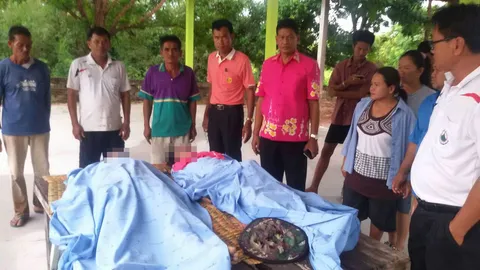 คาดเล่นมือถือ! พ่อลูกถูกฟ้าผ่าเปรี้ยง ตายคาเถียงนา 2 ศพ 