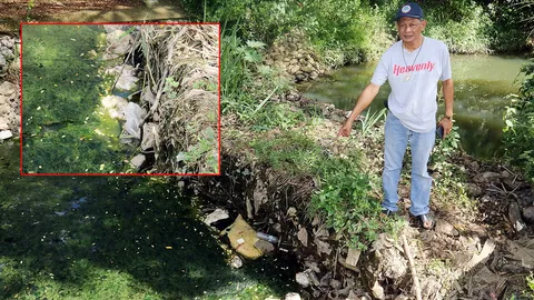 ชุ่ย! มือดีทิ้งซากไก่-เป็ดกว่า 30 ตัวลงคลอง ชาวสัตหีบโวยเหม็นหึ่ง