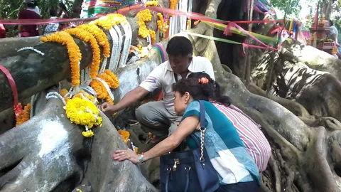 นักเลงหวยไม่กลัวอาถรรพณ์! บุกป่าคำชะโนด ขูดต้นไทรยักษ์ เห็นจังๆ 3 ตัว