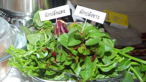 ดันสมุนไพรไทย 'ผักปลัง' ชูกำลัง