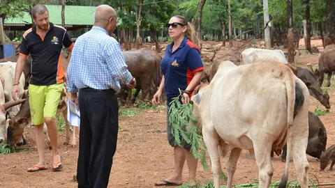 วอนกรมอุทยานฯ ส่งเสือพิการ-ป่วย 4 ตัว คืนหลวงตาจันทร์ 