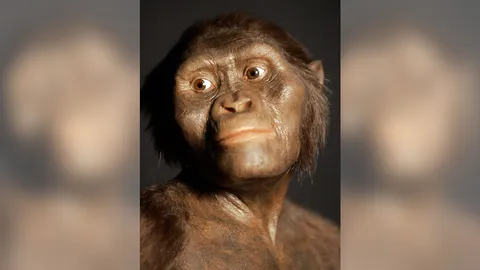 บรรพบุรุษตกต้นไม้ตายเมื่อ 3.2 ล้านปี