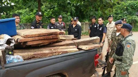 ค้นบ้าน ผอ.กองช่าง อบต.คำชะอี พบไม้หวงห้ามอื้อ ทั้งพะยูง-กระยาเลย