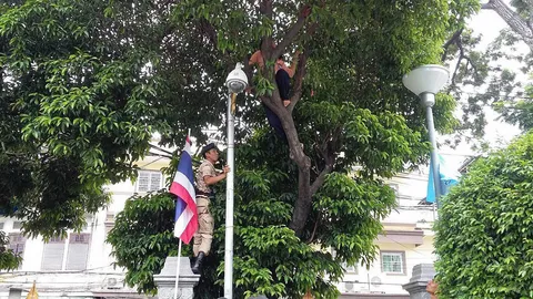 หญิงปีนต้นไม้หน้า มท. ร้องขอความช่วยเหลือ ถูกเทศบาลยื่นรื้อบ้าน 