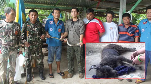 งูเห่าตัวเขื่องเข้าบ้านยายวัย 74 สุนัขป้องเจ้าของ สู้จนตายแทน