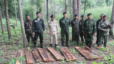 เปิดยุทธการใบไม้ร่วง กำจัดขบวนการมอดไม้ในอุตรดิตถ์	