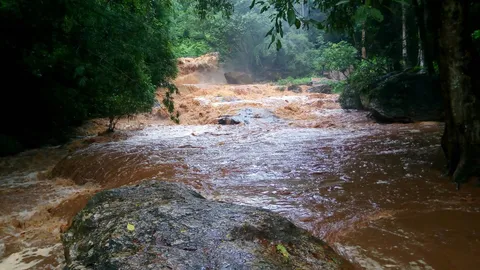 ฝนถล่ม-น้ำป่าหลาก อช.ดอยสุเทพ สั่งปิดน้ำตกแม่สา หวั่น นทท.ไม่ปลอดภัย