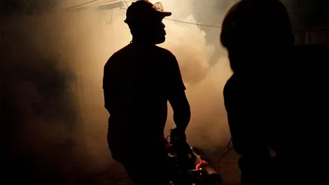 ศรีลังกาเฮ! ปลอดมาลาเรียแล้ว หลังระบาดมานานนับ 100 ปี