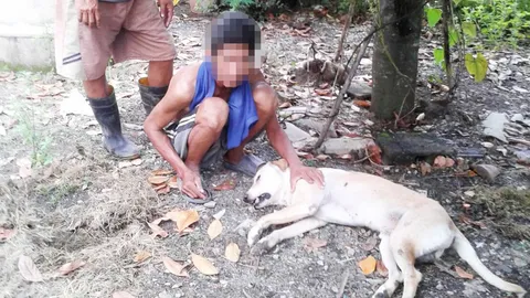 จับหนุ่มโหด! ฆ่าแขวนคอหมาผูกกิ่งต้นขนุน แล่เนื้อไปขาย