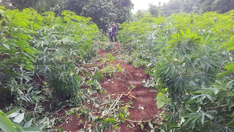 ฆ่าอำพรางช่างทอง! ยิงอก-ศพยัดรถเก๋ง เข็นดิ่งเหวลงแควน้อย ชิงเงิน 9 แสน