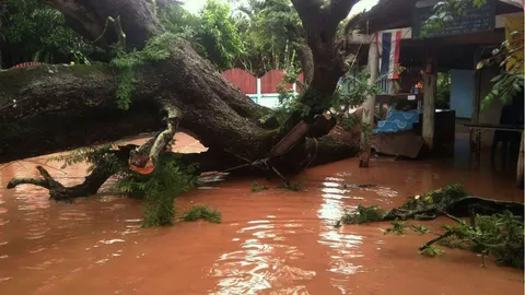 น้ำป่าซัดหลายอำเภอ จ.เชียงใหม่ ปิดทางท่องเที่ยว ผู้ว่าฯสั่งเตรียมพร้อม