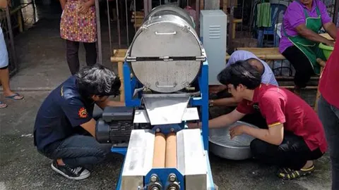 เครื่องปั่นลูกตาล 3 IN 1  แยกเนื้อ-เส้นใย-น้ำ